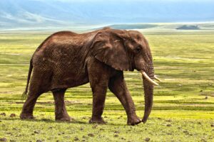パーソナルジムの体験予約方法はこれで決まり？