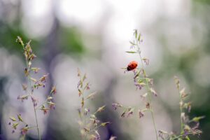 パーソナルジムの注意点は何？